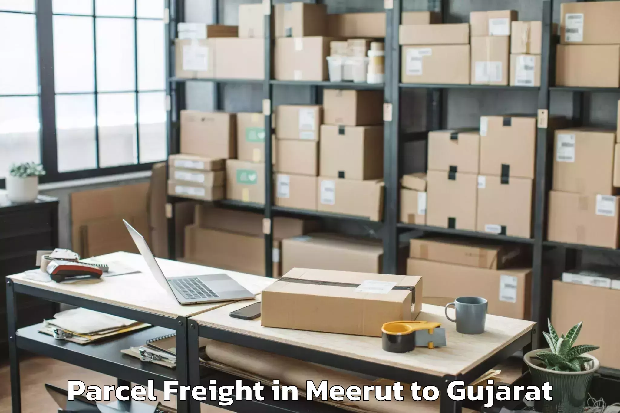 Easy Meerut to Veer Narmad South Gujarat Univ Parcel Freight Booking